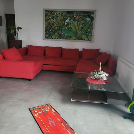 Apartament Na Warszawskiej ゴジュフ・ヴィエルコポルスキ エクステリア 写真